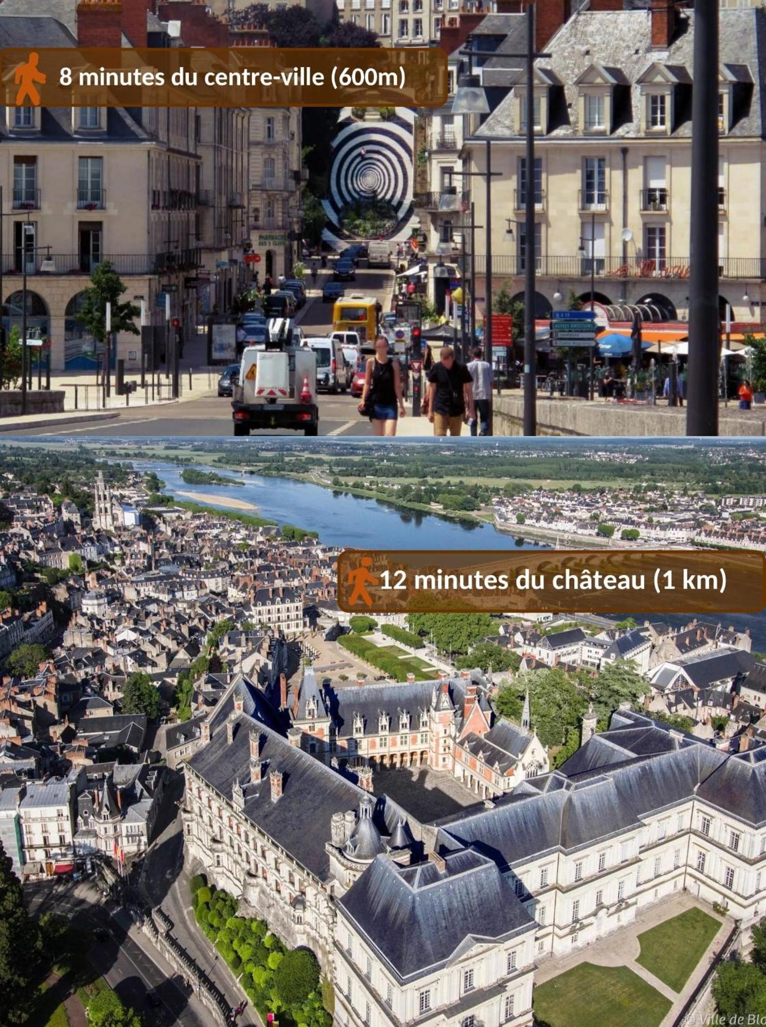 Maison Royale - Idealement Situee A Blois Buitenkant foto